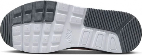 Кросівки жіночі Nike WMNS AIR MAX SC кольорові CW4554-114