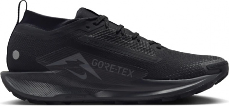 Кроссовки Nike Pegasus Trail 5 Gtx