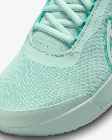 Кроссовки Nike Zoom Court Pro Hc