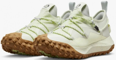 Кроссовки Nike Acg Mountain Fly Low Gtx Se