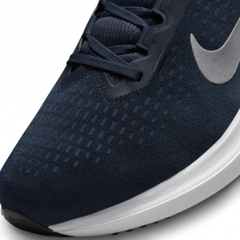 Кроссовки Nike Air Winflo 10