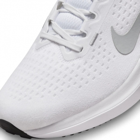 Кроссовки Nike Air Winflo 10