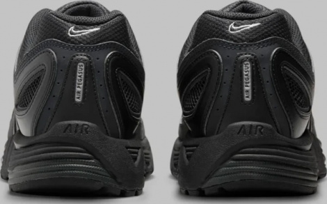 Кроссовки Nike Air Pegasus 2005