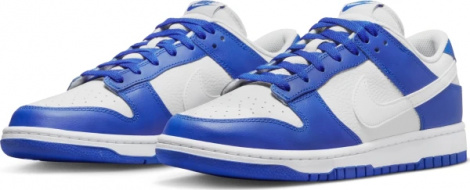 Кросівки Nike DUNK LOW синьо-білі FN3416-001