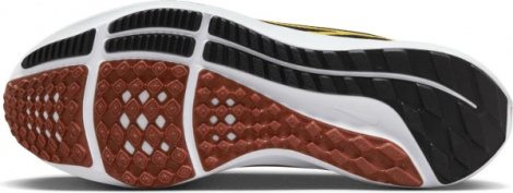 Кроссовки Nike Air Zoopegasus 40