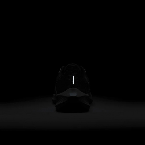 Кроссовки Nike Air Zoopegasus 40