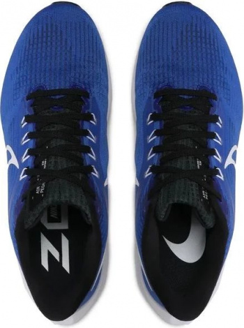 Кроссовки Nike Pegasus 39 (Синие)