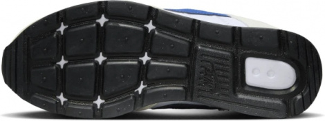 Кросівки жіночі Nike VENTURE RUNNER кольорові CK2948-009