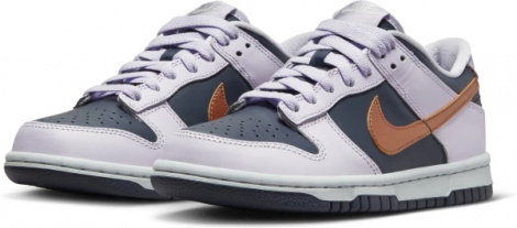 Кроссовки Nike Dunk Low Se (Gs)