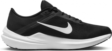 Кроссовки Nike Air Winflo 10