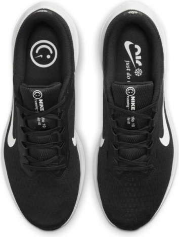 Кроссовки Nike Air Winflo 10