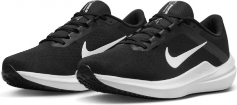 Кроссовки Nike Air Winflo 10