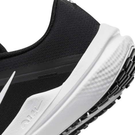 Кроссовки Nike Air Winflo 10
