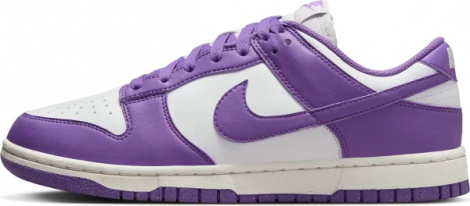 Кроссовки Женские Nike Dunk Low Next Nature (Dd1873-108)
