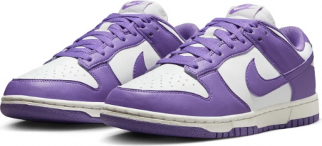 Кроссовки Женские Nike Dunk Low Next Nature (Dd1873-108)