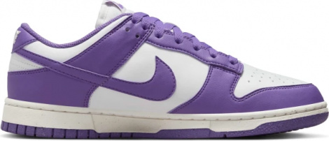 Кроссовки Женские Nike Dunk Low Next Nature (Dd1873-108)