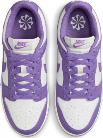 Кроссовки Женские Nike Dunk Low Next Nature (Dd1873-108)