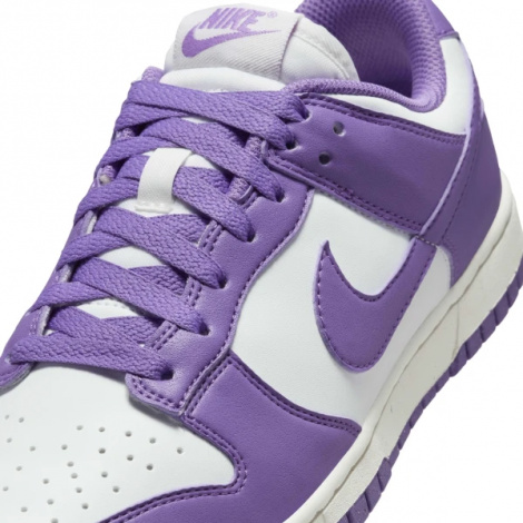 Кроссовки Женские Nike Dunk Low Next Nature (Dd1873-108)