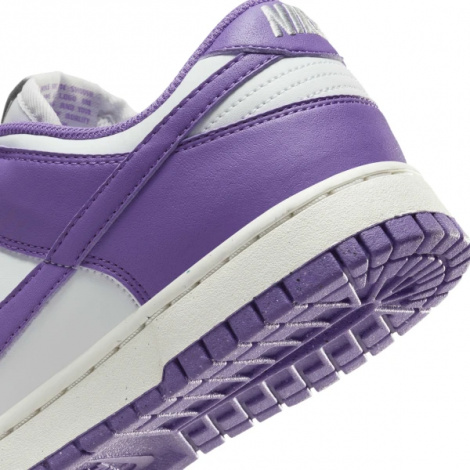 Кроссовки Женские Nike Dunk Low Next Nature (Dd1873-108)