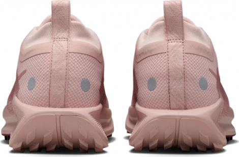 Кроссовки Nike W Pegasus Trail 5 Gtx