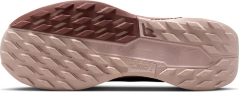 Кроссовки Nike W Pegasus Trail 5 Gtx