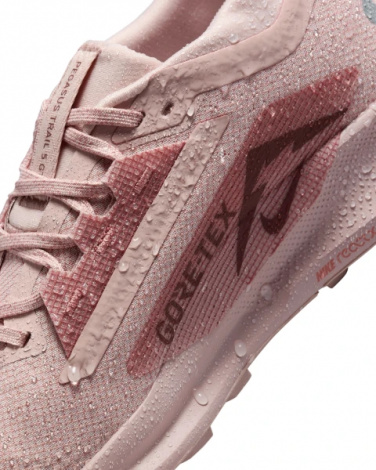 Кроссовки Nike W Pegasus Trail 5 Gtx
