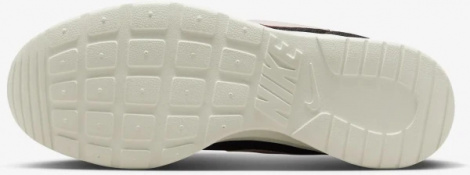 Кроссовки Nike Tanjun Flyease