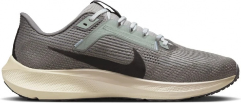 Кроссовки Nike Air Zoom Pegasus 40 Prm