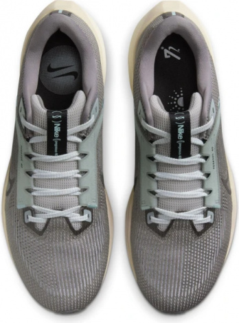 Кроссовки Nike Air Zoom Pegasus 40 Prm