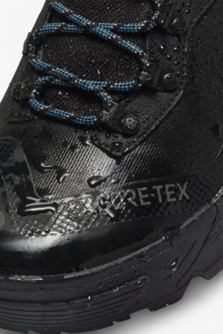 Черевики Nike ACG ZOOM GAIADOME GORE-TEX чорні DD2858-001