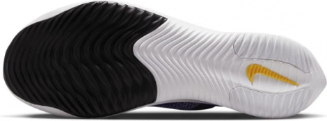 Кросівки бігові Nike ZOOMX STREAKFLY сині DJ6566-401