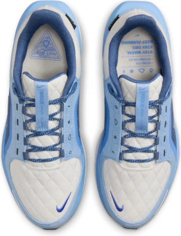 Кроссовки Nike W Air Winflo 11 Gtx