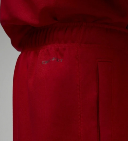 Спортивные штаны Nike JORDAN DF SPRT CSVR FLC PANT красные DQ7332-687