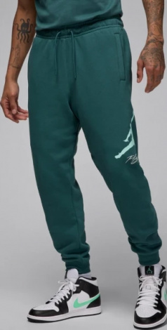 Спортивні штани Nike MJ ESS FLC BASELINE PANT темно-зелені FD7345-366