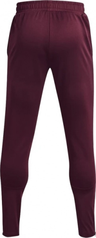 Спортивные штаны Under Armour TERRY PANTS бордовые 1366265-600