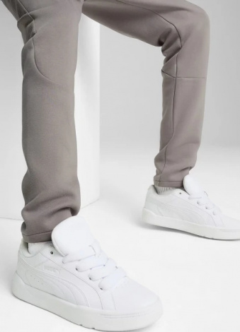Спортивные штаны Puma EVOSTRIPE серые 68461479