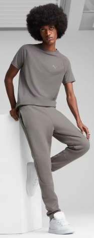 Спортивные штаны Puma EVOSTRIPE серые 68461479