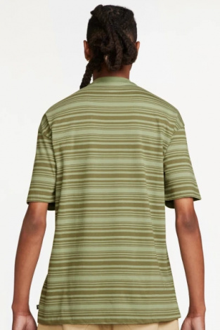 Футболка Nike U NK SB TEE M90 STRIPE SP24 зелено-коричнева FQ3711-386
