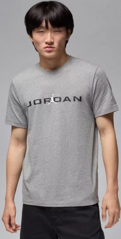 Футболка Nike JORDAN AIR сіра IB7353-091