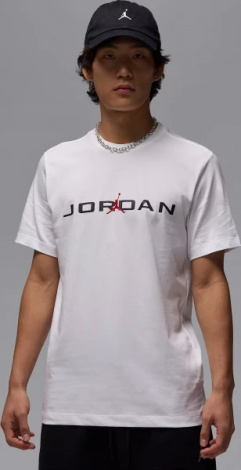 Футболка Nike JORDAN AIR біла IB7353-101