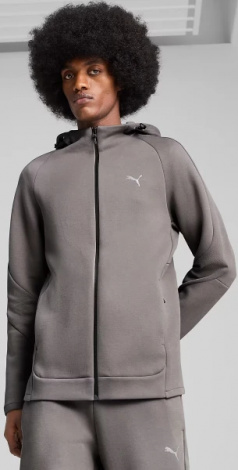 Толстовка Puma EVOSTRIPE серая 68461379