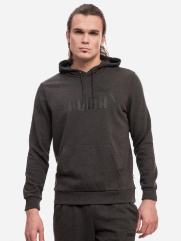 Худи Puma ESSENTIALS BIG LOGO HOODIE темно-серое 58668807