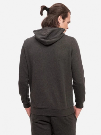 Худи Puma ESSENTIALS BIG LOGO HOODIE темно-серое 58668807
