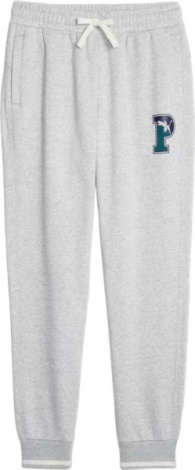 Спортивні штани Puma SWEATPANTS світло-сірі 67601904
