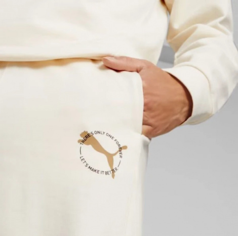 Спортивные штаны Puma BETTER SPORTSWEAR SWEATPANTS бежевые 67606599