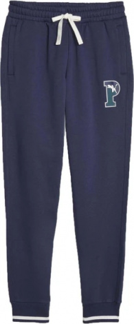Спортивні штани Puma SWEATPANTS темно-сині 67601906