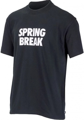 Футболка Nike M NK SB TEE SPRING BREAK
