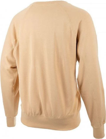 Світшот Nike AIR FT HOODIE бежевий DV9829-252