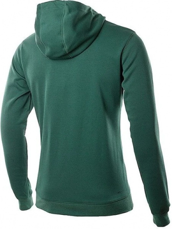 Толстовка Nike Jordan MJ DF AIR STMT FLC FZ HOODIE зелена DA9854-333