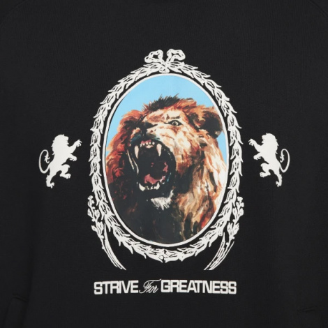 Толстовка Nike Lj Brsh Po Hoodie